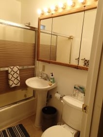 Small Bathroom Remodel, Big Design