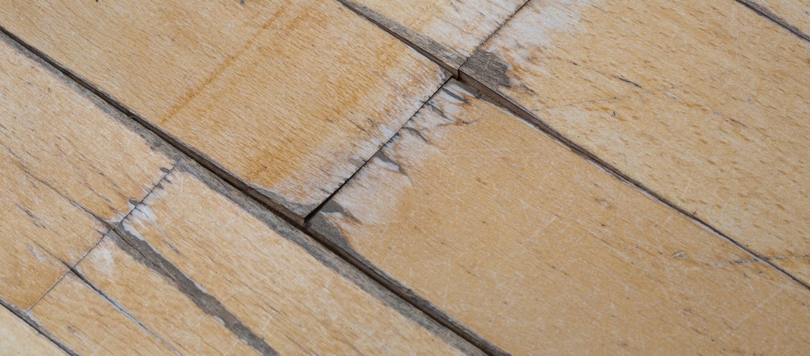 Parquet flooring damaged by water exposure.