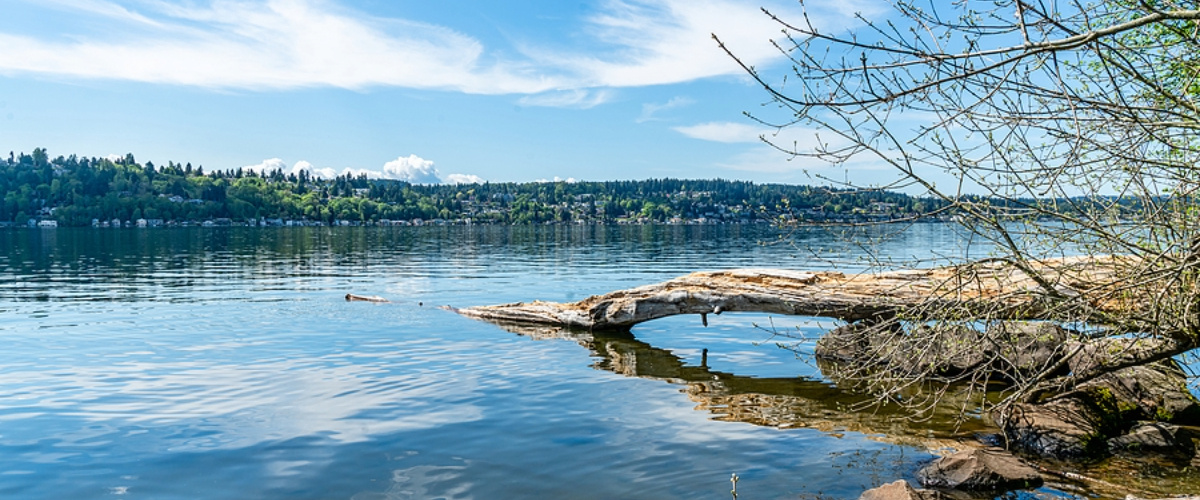 A-View-Of-Homes-Across-Lake-Kenmore,WA
