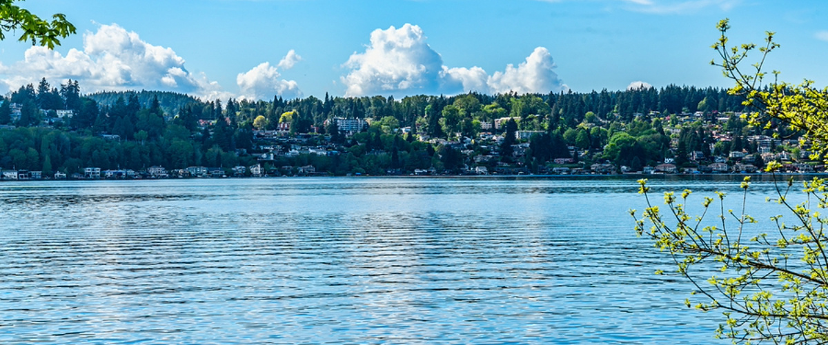 A-View-Of-Lake Forest Park, WA Homes-Across-Lake-