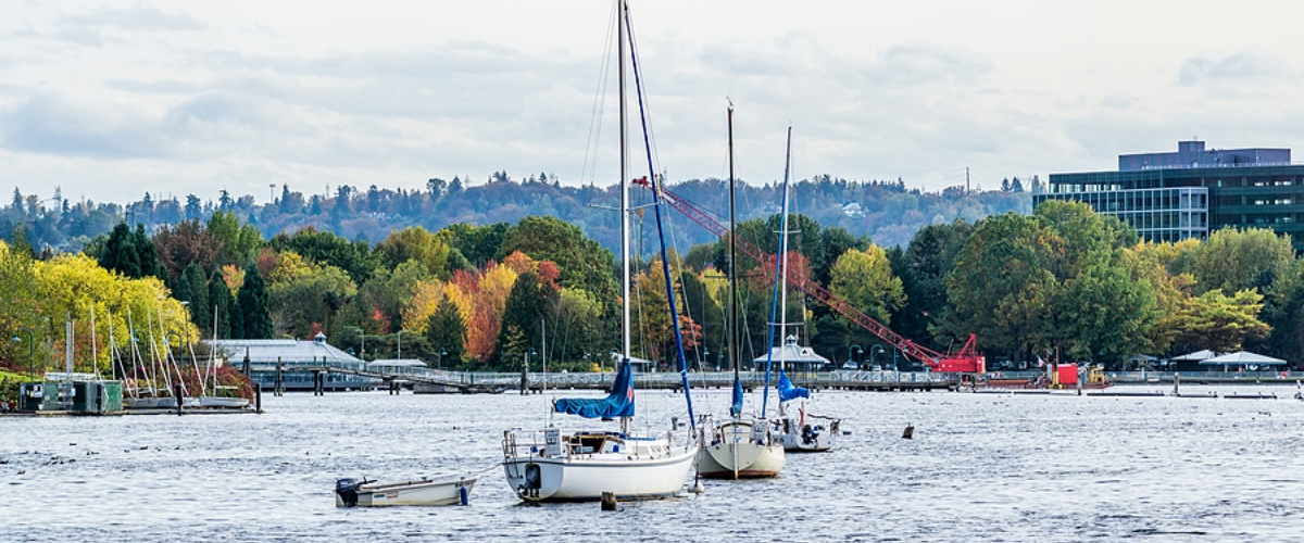 Brilliant-Autumn-Colors-And-Bo-Renton, WA