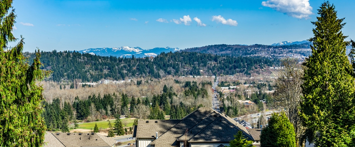 Landscape-Scene-With-Building-Issaquah, WA