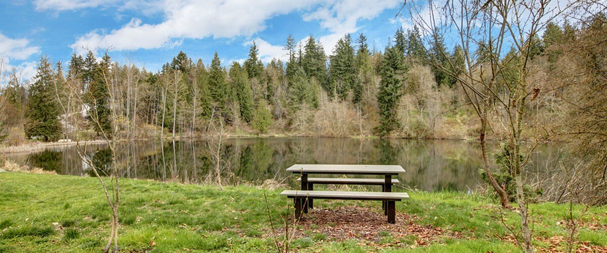 Small-Lake-Rasmussen-Duvall-WA