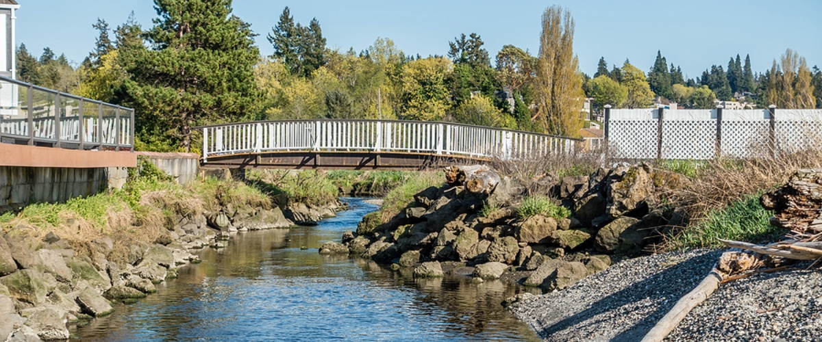 Stream-Flows-Inder-A-White-Normandy Park, WA