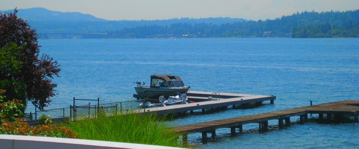 View-From-Medina, WA