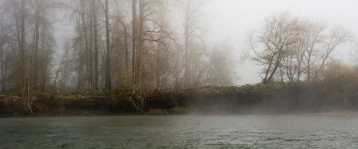 fog-over-snoqualmie-river-in-Carnation-WA