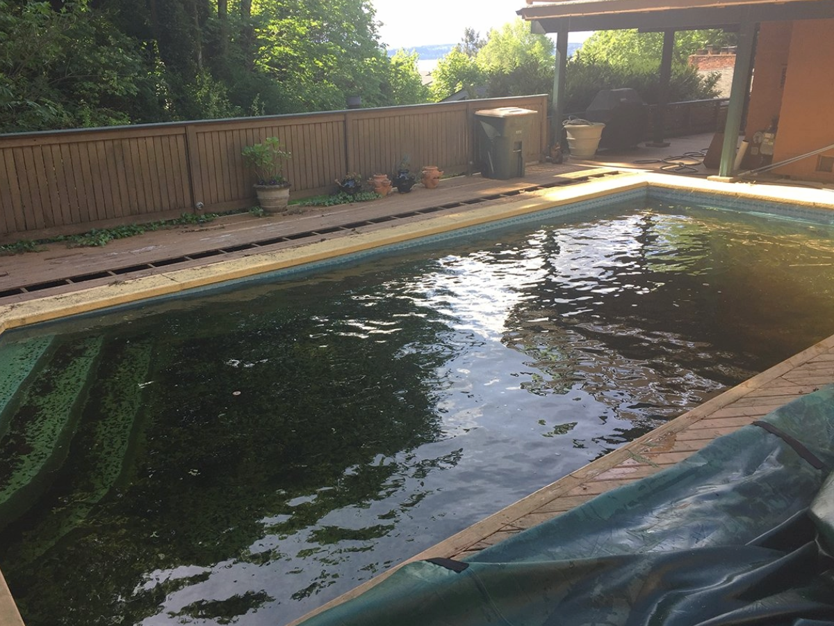 magnolia-pool-deck-studio-3-before