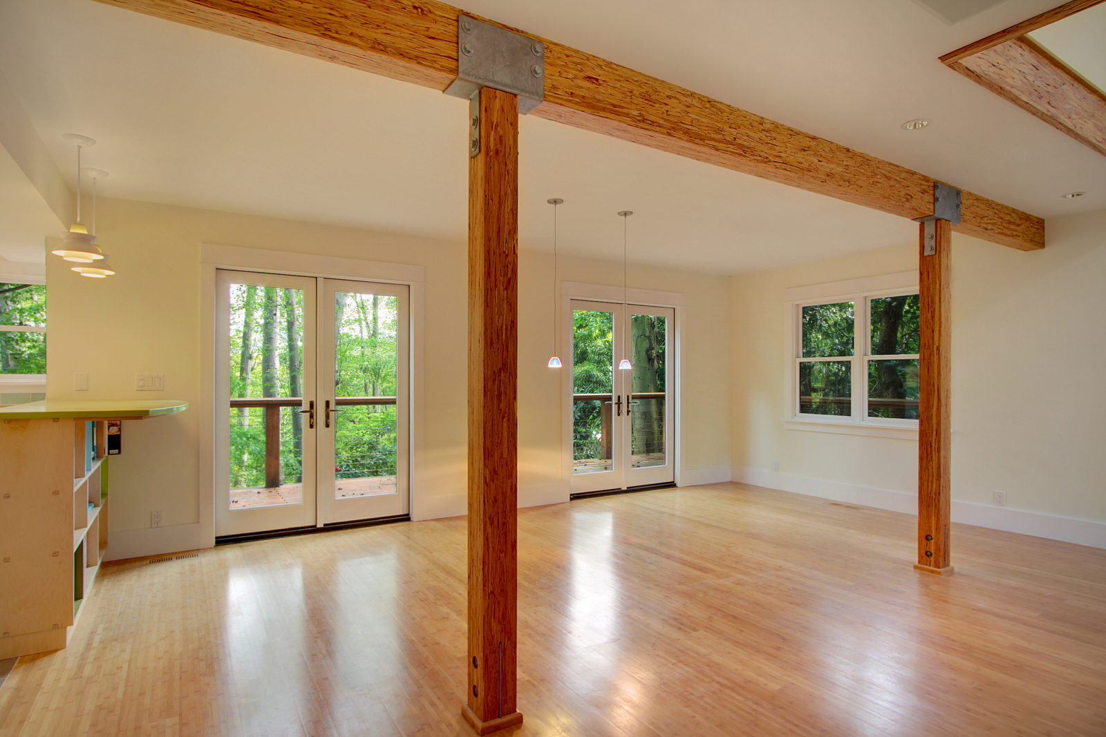 Capitol Hill Whole House Remodel