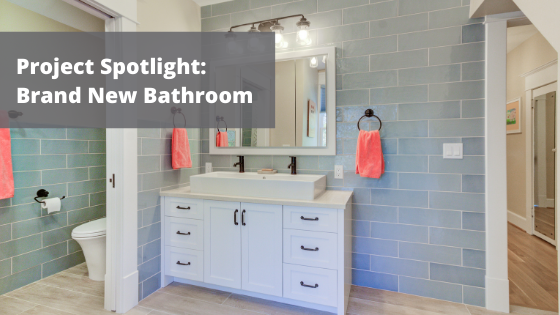 Project Spotlight: Brand New Bathroom Spotlight 